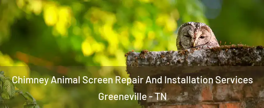  Chimney Animal Screen Repair And Installation Services Greeneville - TN