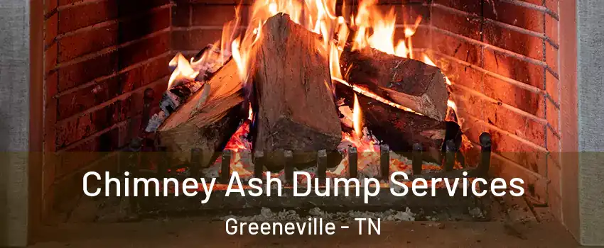  Chimney Ash Dump Services Greeneville - TN