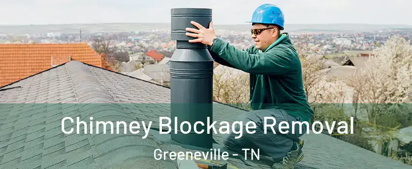  Chimney Blockage Removal Greeneville - TN