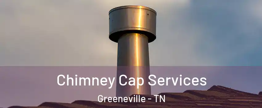  Chimney Cap Services Greeneville - TN