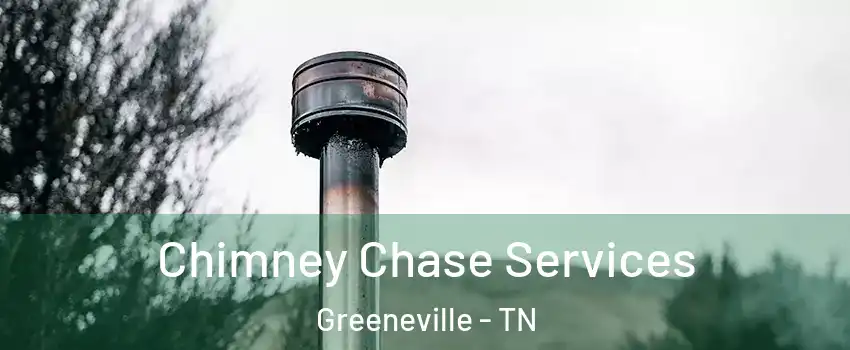 Chimney Chase Services Greeneville - TN