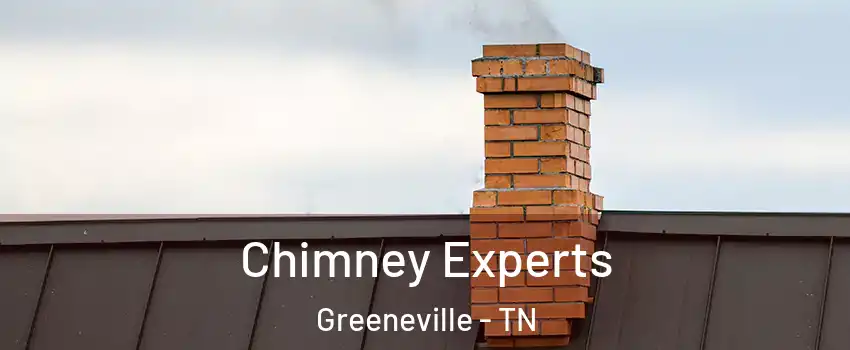 Chimney Experts Greeneville - TN