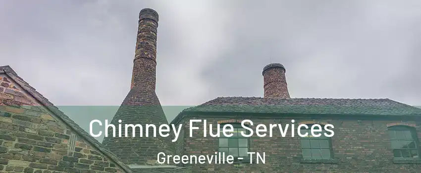  Chimney Flue Services Greeneville - TN