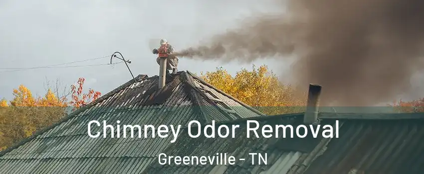  Chimney Odor Removal Greeneville - TN