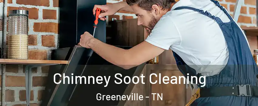  Chimney Soot Cleaning Greeneville - TN