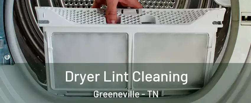  Dryer Lint Cleaning Greeneville - TN