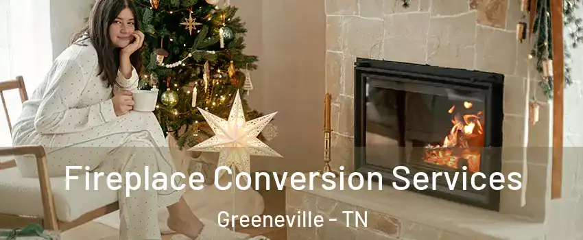  Fireplace Conversion Services Greeneville - TN