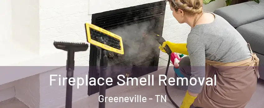 Fireplace Smell Removal Greeneville - TN