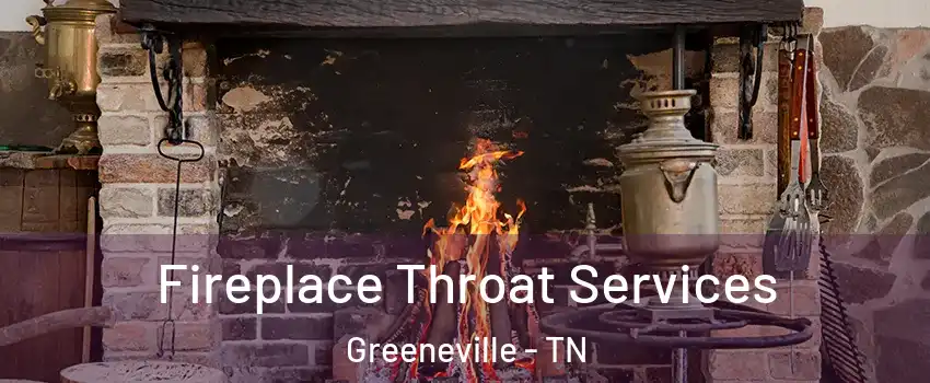  Fireplace Throat Services Greeneville - TN