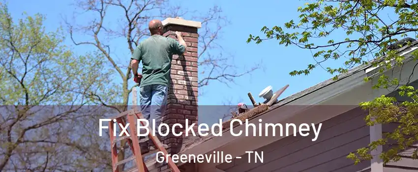  Fix Blocked Chimney Greeneville - TN