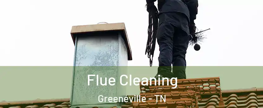  Flue Cleaning Greeneville - TN