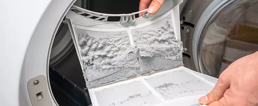 Best Dryer Lint Removal Company in Greeneville, Tennessee