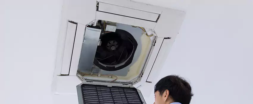 Benefits of Professional Air Duct Cleaning in Greeneville, Tennessee