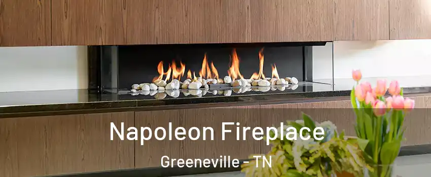  Napoleon Fireplace Greeneville - TN