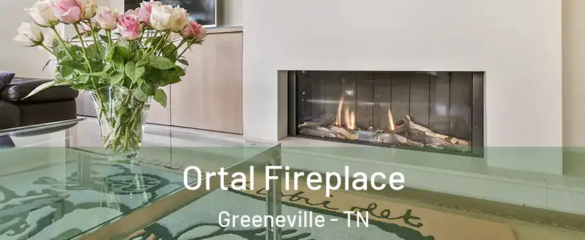  Ortal Fireplace Greeneville - TN